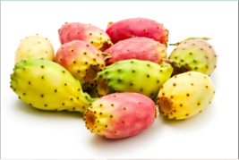 10 Cactus Pear {Opuntia ficus-indica} seeds - $5.98