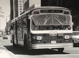 Chicago Transit Authority CTA Bus #3848 Outer Drive Express Adams State Photo - £7.46 GBP