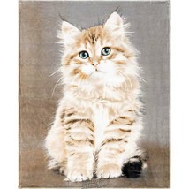 Faux Fur Appealing Animal Throws Fluffy Kitty One Size 48&quot;Wx60&quot;L - £29.67 GBP