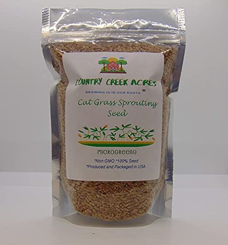 2 Ounce Catgrass Seeds - Hard Red Wheat- Wheatgrass Non GMO - Country Creek Acre