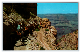 Grand Canyon National Park, Arizona Top of Kaibab Trail on Horseback Postcard - £3.90 GBP