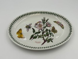 Portmeirion Botanic Garden Dog Rose 10 3/4&quot; Oval Steak Platter - £35.95 GBP