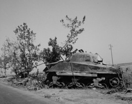 New 8x10 Photo - Destroyed Sherman tank and German 88mm gun - Sicily Ita... - $8.81