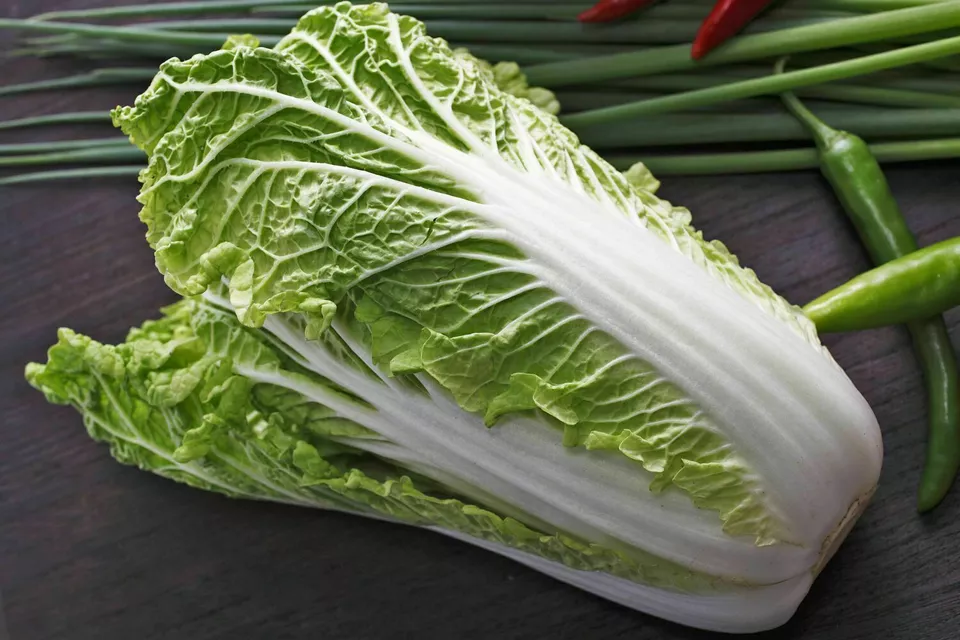 AW 500 Seeds Napa Cabbage Michihili Heading Chinese Organic Herb Easy To... - €8,73 EUR