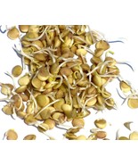 SHIP From US, 17K Seeds 2 lb Green Lentil Bean Sprouting, DIY ZJ - $2,195.86 MXN