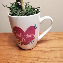 Valentines Mug with Succulent, Valentines Day Decor, mug garden gift image 5