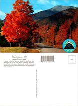 New York Whiteface Mountain Adirondacks Forest in Autumn Fall VTG Postcard - £7.48 GBP