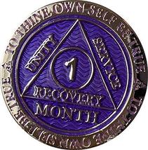 1 Month AA Medallion Reflex Purple Silver Plated Chip - £11.66 GBP