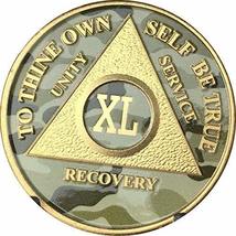 40 Year AA Medallion Camo Gold Plated XL Anniversary Chip Camouflage Color - $17.81
