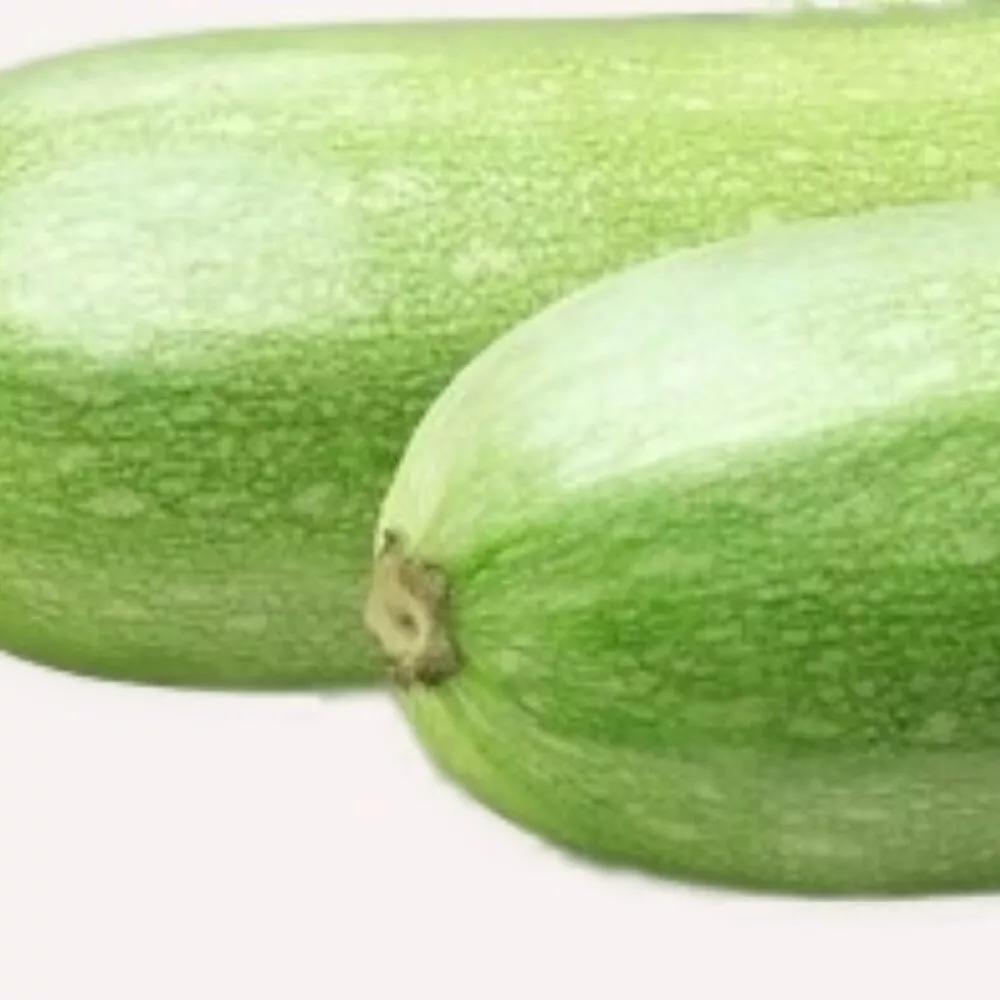 Italian Squash Zucchini 20 Seeds for colorfull garden NON GMO - £5.10 GBP