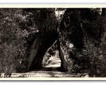 RPPC Arco Rock Yosemite National Park California Ca Unp Cartolina T7 - $5.08