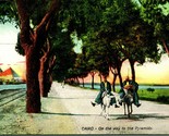 Vtg Postcard  Cairo Egypt On The Way to the Pyramids Riding Donkey UNP U... - $9.85