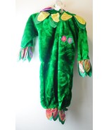 Chrisha Playful Plush Flower Costume Ages 2-4 Cosplay  Dance  Theater  H... - £18.34 GBP
