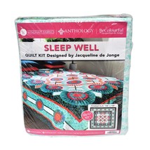 Windham Fabrics Sleep Well Quilt Kit 108in x 108in - £507.97 GBP