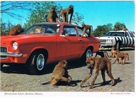 Monkey Jungle Postcard African Lion Safari Rockton ON - £2.32 GBP