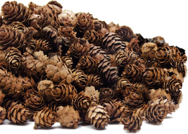250 PCS Christmas Natural Mini Pine Cones-Thanksgiving Pinecones Ornaments for D - £17.60 GBP