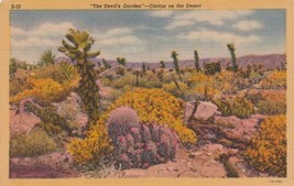 The Devil&#39;s Cactus Garden on the Desert Postcard C13 - £2.34 GBP