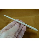(F352-302) XL 5-7/8&quot; Stingray Ray barbs modern Himantura chaophraya barb... - $1,199.47 MXN