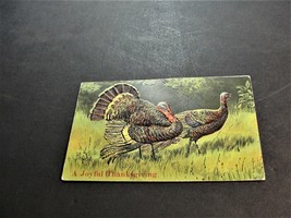 A Joyful Thanksgiving Greetings - Unposted Embossed 1900s Postcard.   - £6.45 GBP