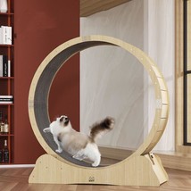 Silent Cat Fitness Wheel: The Ultimate Exercise Toy for Feline Friends - £184.46 GBP+