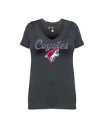 NHL Arizona Coyotes Short Sleeve V-Neck Tee, 1X - $14.85