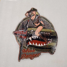 P40 Warhawk WWII fighter plane pinup girl steel metal sign - £70.08 GBP