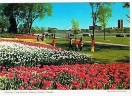 Ontario Postcard Ottawa Canadian Tulip Festival - £1.74 GBP