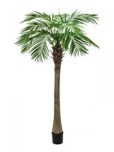 EUROPALMS Phönixpalme Luxor, Artifical Plant, 150cm - £106.06 GBP