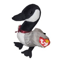 Vintage Ty Beanie Baby Loosy the Goose March 29 1998 Hang tag Lake Bird ... - $8.52