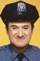 Ron Carey in Barney Miller as Officer Levitt 24x18 Poster - $23.99