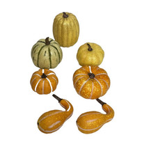 Colorfuol Lot Of Daux Mini Pumpkins Fall Decor 7 Pcs Var Of Pumpkins &amp; Gourds - £10.64 GBP