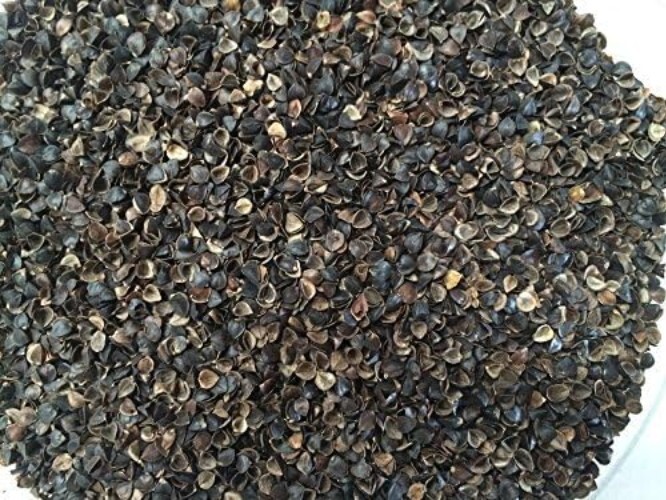Cooling Organic Buckwheat Pillow - 14”x20” Natural Cotton, Extra Firm Item image 4