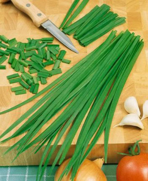 100 Summer Chive Seeds-1254