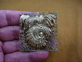 (b-dog-401) Yorkshire terrier dog Yorkie show dogs pin pendant Westie je... - $20.99