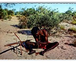 Australian Aborigine Making Fire Australia UNP Continental Postcard O21 - £3.83 GBP