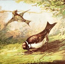 C1910s Trade Card Lark Birds Making A Nest Landscape Lithograph Ephemera... - $19.99