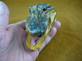 G-Def-324) 4-1/8&quot; Deformed Gator ALLIGATOR HEAD jaw teeth TAXIDERMY weir... - $38.32