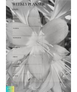 Self Art Weekly Planner that can be easily updated/filled electronically - $3.98 CAD