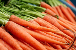 Carrot Nantes Scarlet 775 Seeds Garden USA - £3.54 GBP