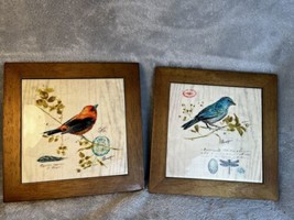 Framed Ceramic Bird Tiles (2) Blue Bird Wren Ornithology - $7.44