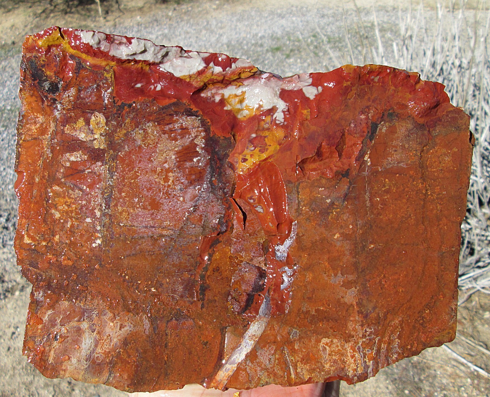 Norrena Jasper Rough 81/2Inch X 61/2Inch X 2Inch New Fresh US Shipping - $190.00