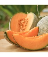 Top Market Melon Seeds, NON-GMO, Muskmelon, Western Shipper Type, FREE SHIPPING - $1.97 - $32.66