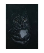 Mischievous Eyes Cat Acrylic Painting 9x12 - $62.89