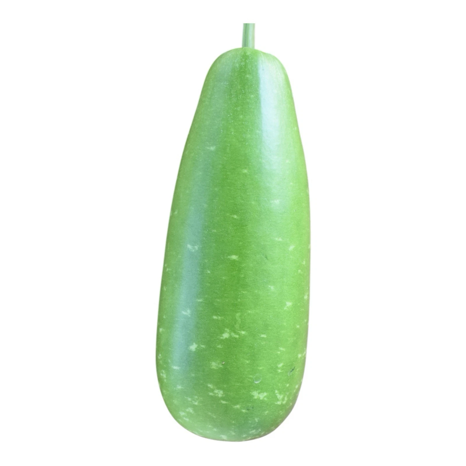 Big Bottle Gourd seeds || Nandini F1 Bangladeshi Lau Seeds || 8 Deshi La... - $8.34