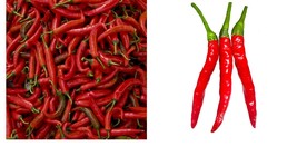 120+ Hot Thai Pepper Seeds for Planting Fresh Garden Seeds - £21.57 GBP