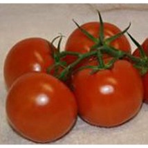 Best SELLER USA 10 Seeds Prairie Fire Tomato Seeds - $5.60