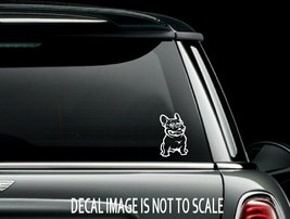 French Bulldog Vinyl Car Truck Window Decal Bumper Sticker US Seller - £4.89 GBP+