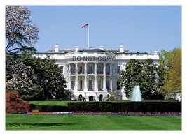 White House Southside Building View Floral 5X7 Photograph Reprint - £6.56 GBP