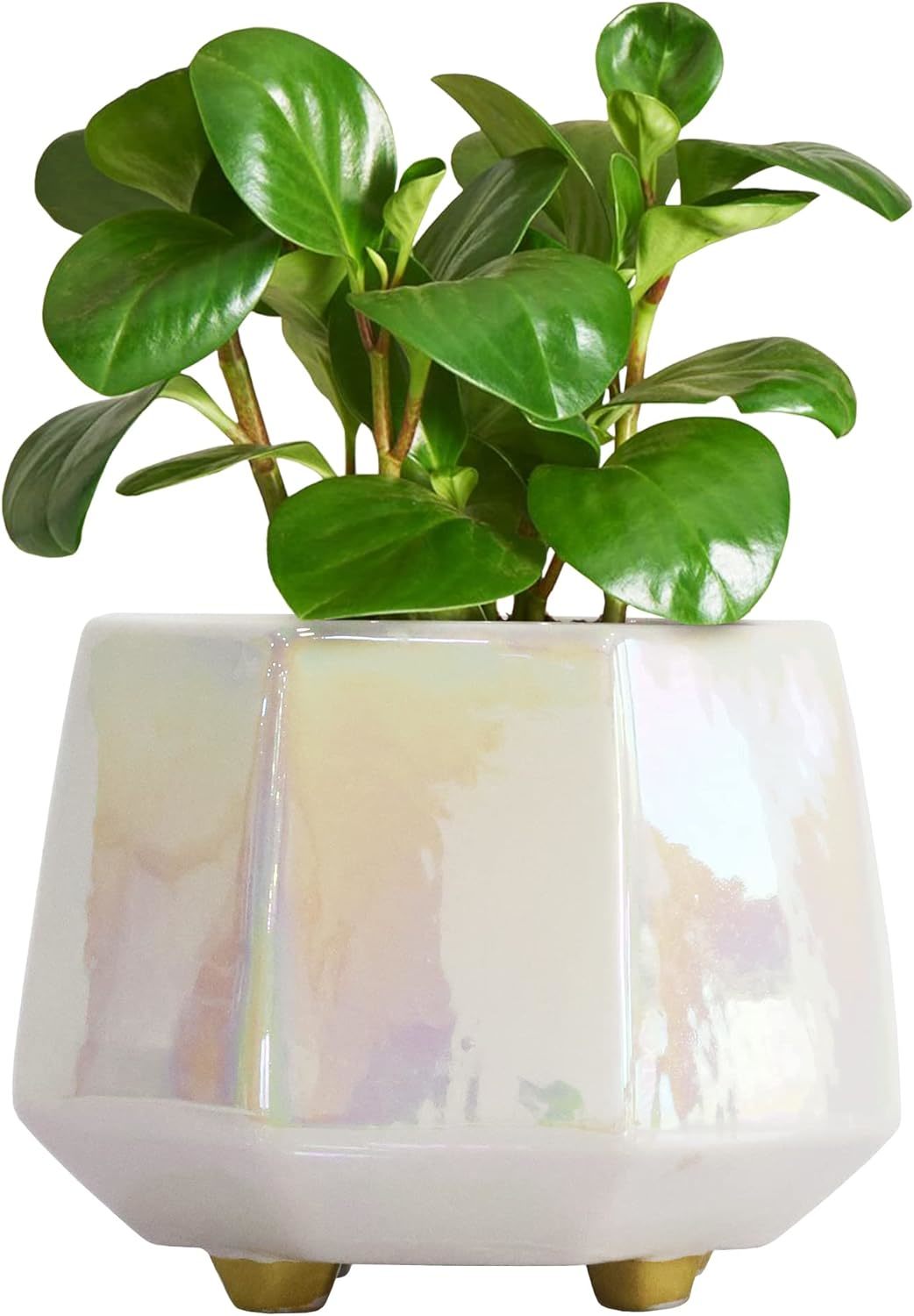 6 Inch Ceramic Planter For Indoor Plants - Plant Pots With Drainage Hole - - $37.93