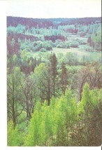 Postcard by Gailitis Latvia Liesma 1975 Tervete River Valley Forest Natu... - £3.87 GBP